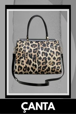 Çanta