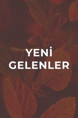 Yeni Gelenler